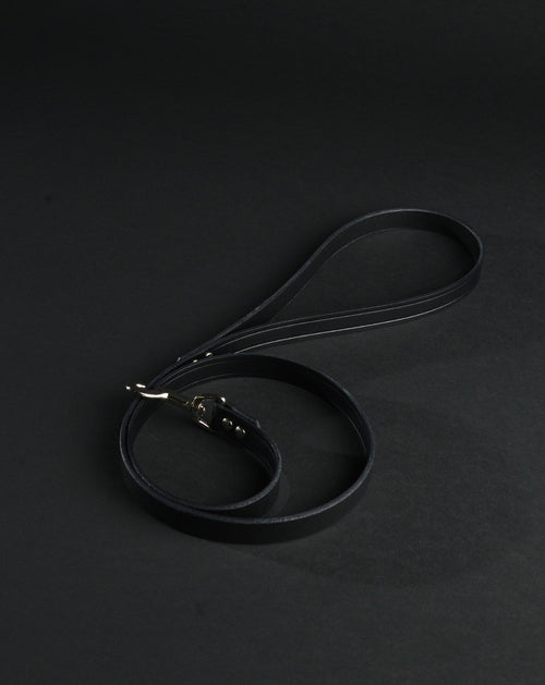 Leather Leash