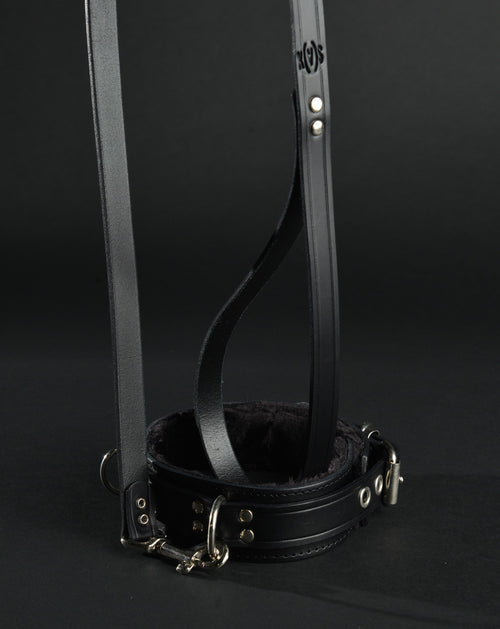 Leather Leash