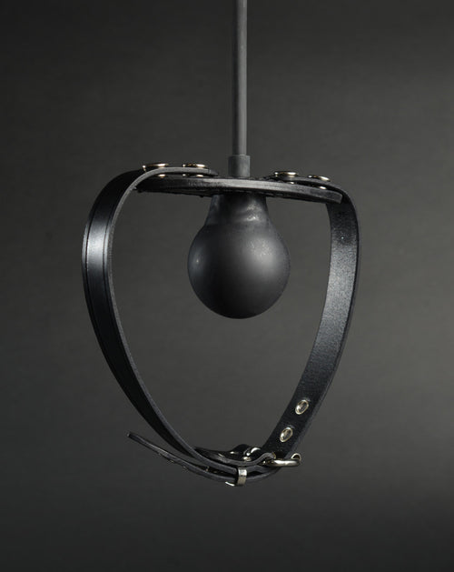 Inflatable Penis Gag